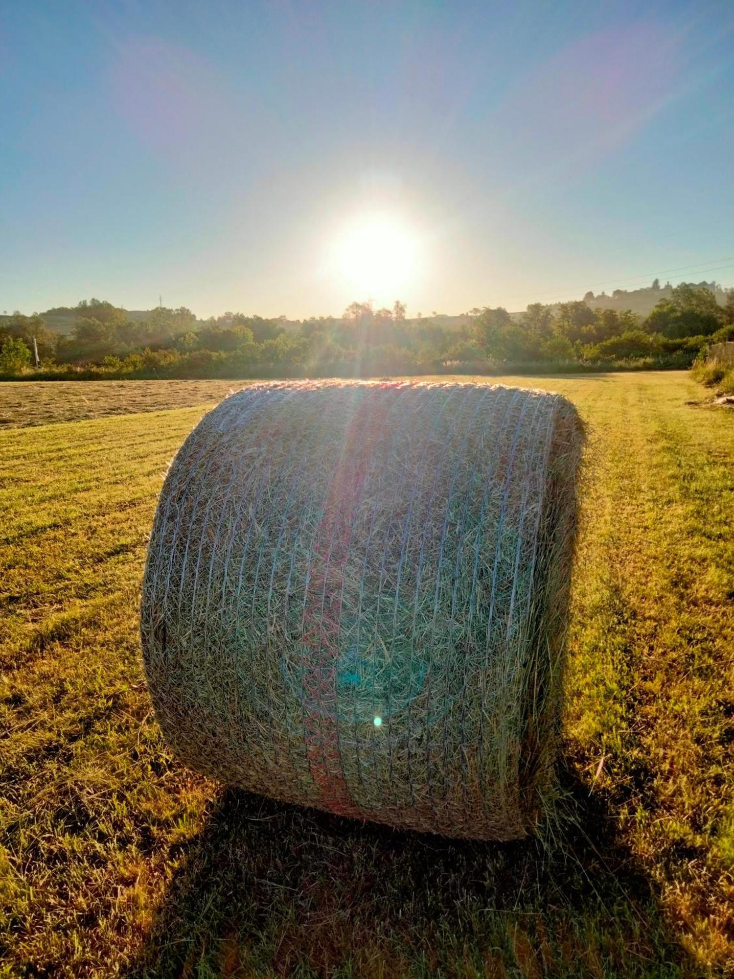 Anticopodere Casorzo Bagian luar foto